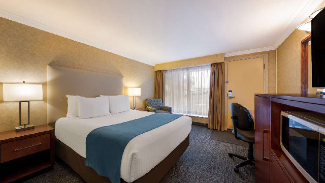 Best Western Voyageur Place Hotel in Newmarket