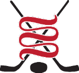 Payne Hockey Development Ltd. logo