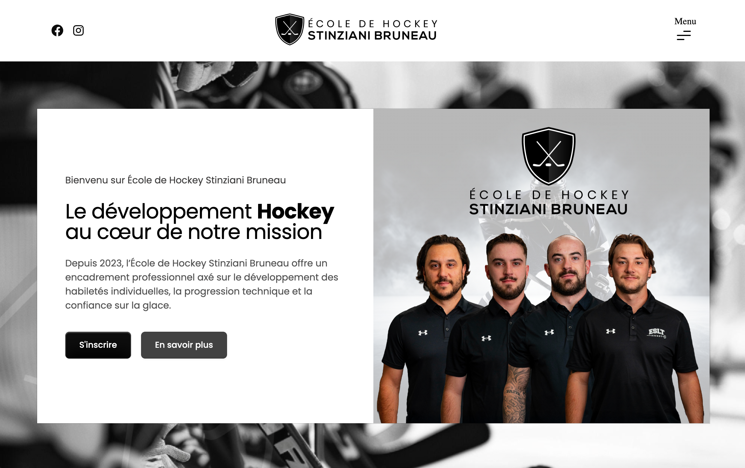 École de Hockey Stinziani Bruneau logo
